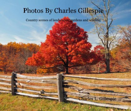 Photos By Charles Gillespie (Large 13" X 11") book cover
