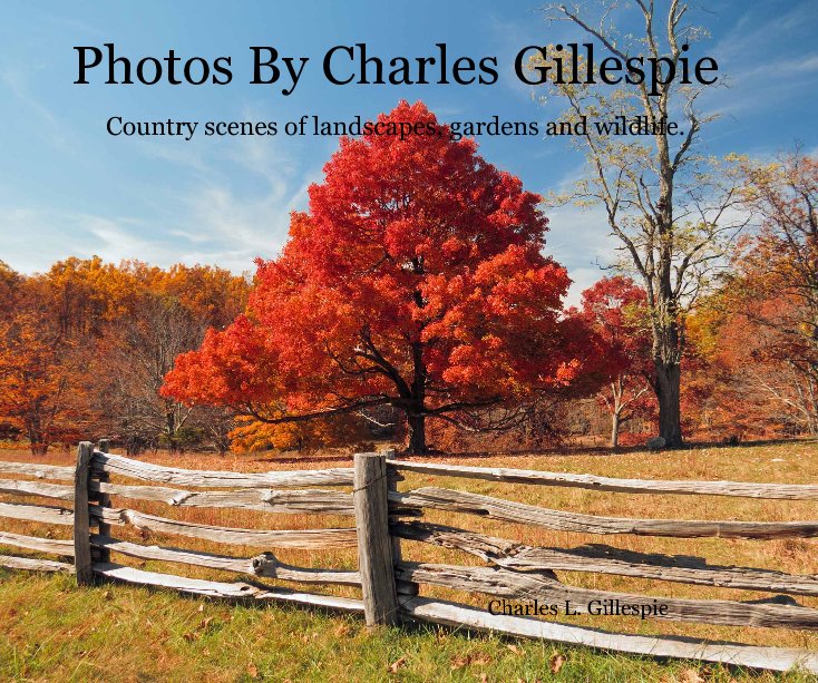 Ver Photos By Charles Gillespie (Standard 10" X 8") por Charles L. Gillespie