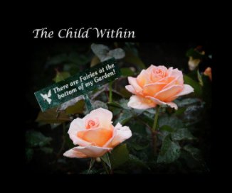 The Child Within book cover