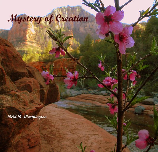 Mystery of Creation Reid D. Worthington nach Reid D. Worthington anzeigen