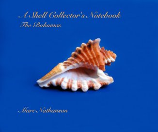 A Shell Collector's Notebook The Bahamas book cover
