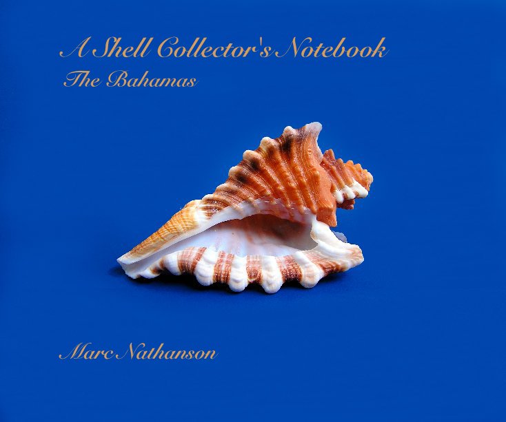 View A Shell Collector's Notebook The Bahamas by Marc Nathanson