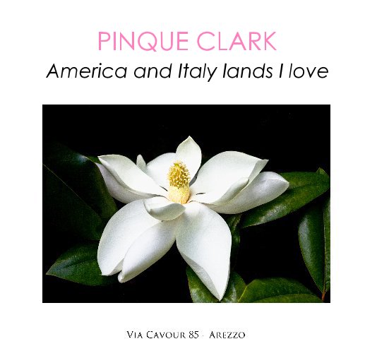 View PINQUE CLARK "AMERICA AND ITALY LANDS I LOVE" by DANIELLE VILLICANA D'ANNIBALE