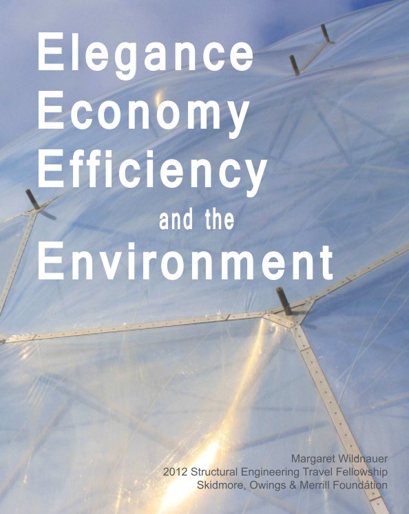 Ver Elegance, Economy, Efficiency, and the Environment por Margaret Wildnauer