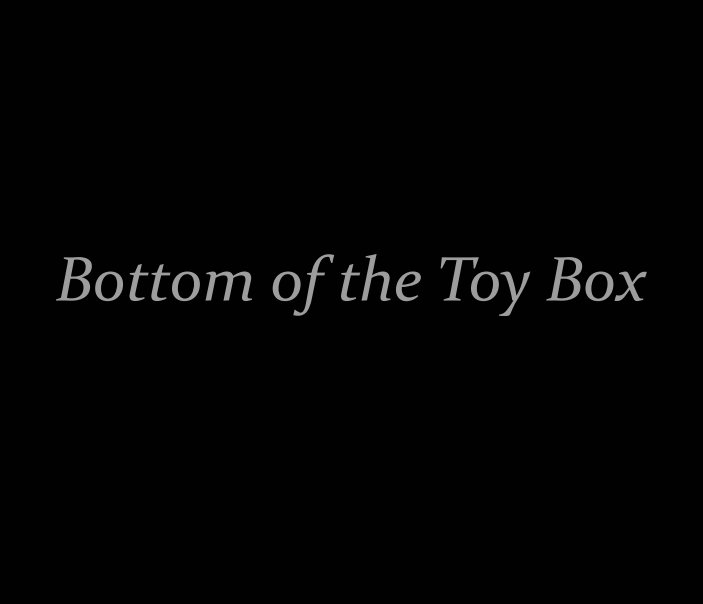 View Bottom of the Toy Box by Shannon Smith
