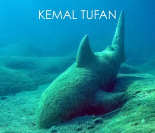 Kemal Tufan book cover