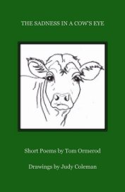 The Sadness in a Cow’s Eye book cover