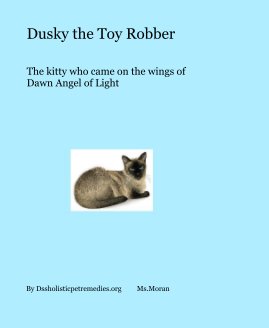 Dusky the Toy Robber book cover