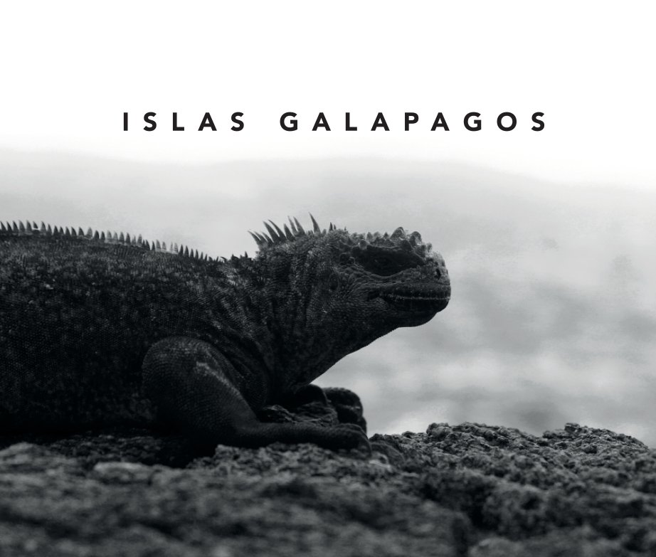 View GALAPAGOS 2012 by Jan Hippchen