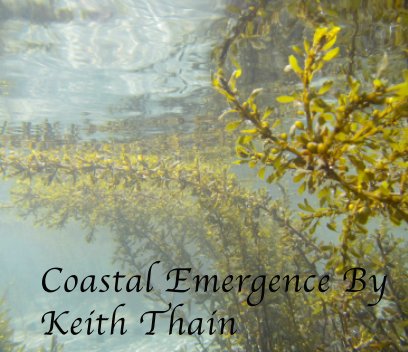 Coastal Emergence book cover