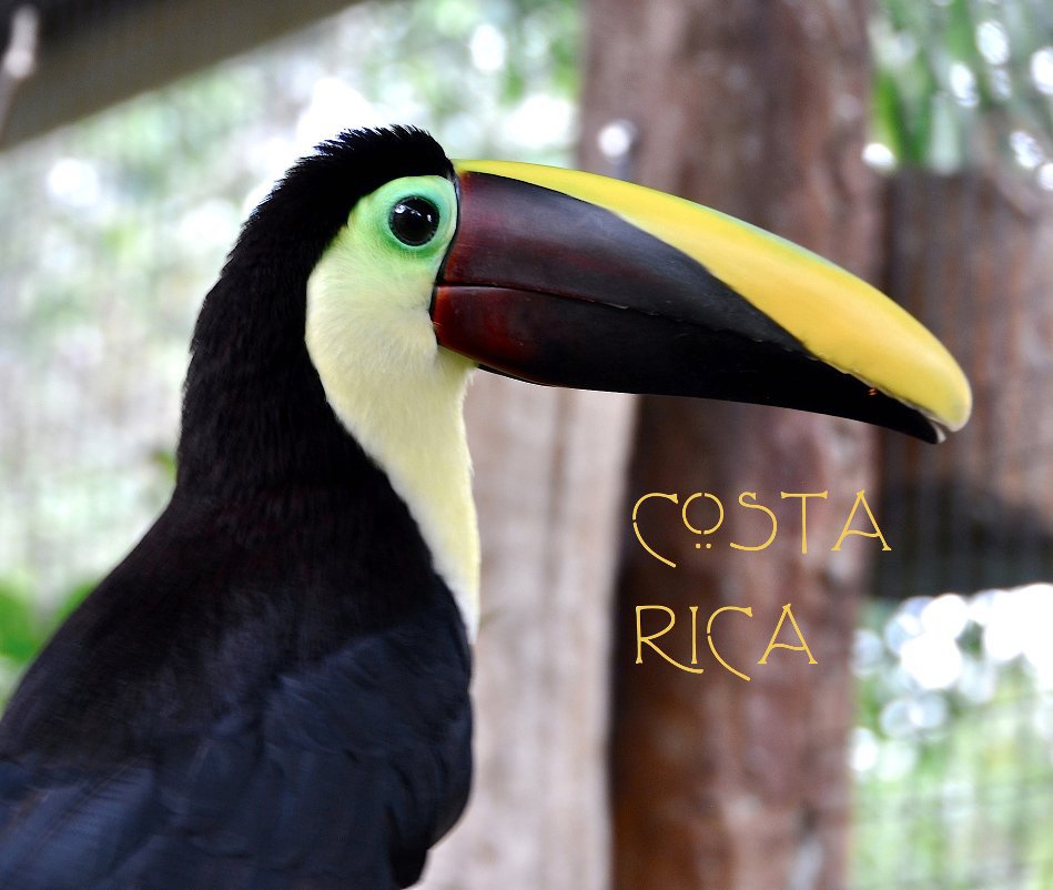 Ver COSTA RICA por Marilyn Offutt