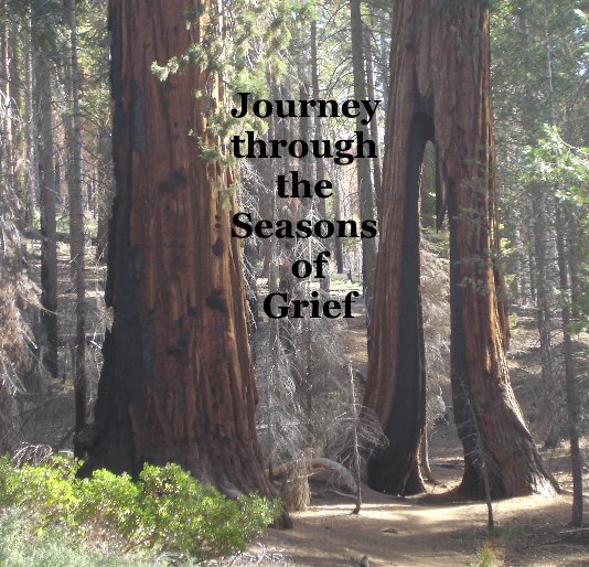 Ver Journey through the Seasons of Grief por Kris Linner and Chris Quistad