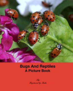 Bugs And Reptiles
A Picture Book book cover