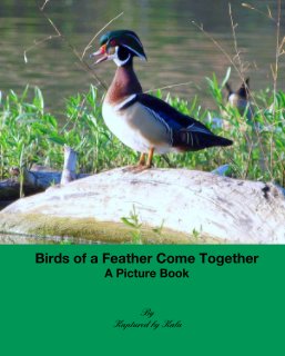Birds of a Feather Come Together
A Picture Book book cover