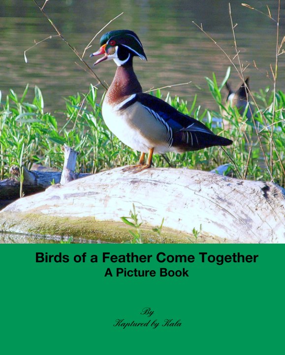 Ver Birds of a Feather Come Together
A Picture Book por Kaptured by Kala