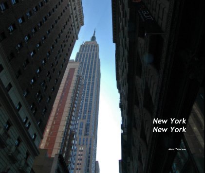 New York New York book cover