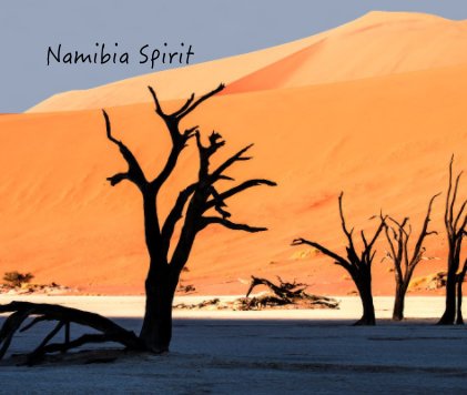 Namibia Spirit book cover