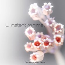 L'instant minimal (18x18cm) book cover