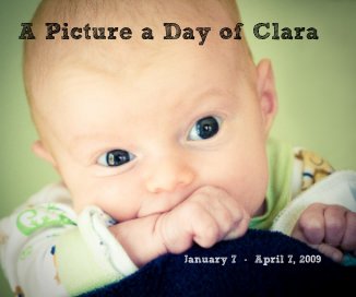 A Picture a Day of Clara v.2 book cover