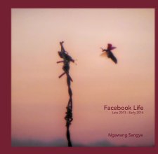 Facebook Life 
Late 2013 - Early 2014 book cover