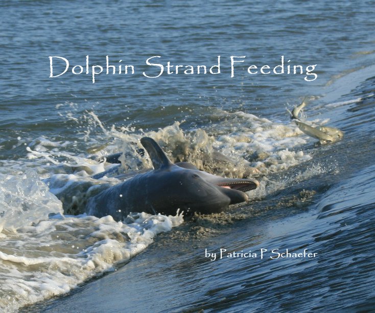 View Dolphin Strand Feeding by Patricia P Schaefer