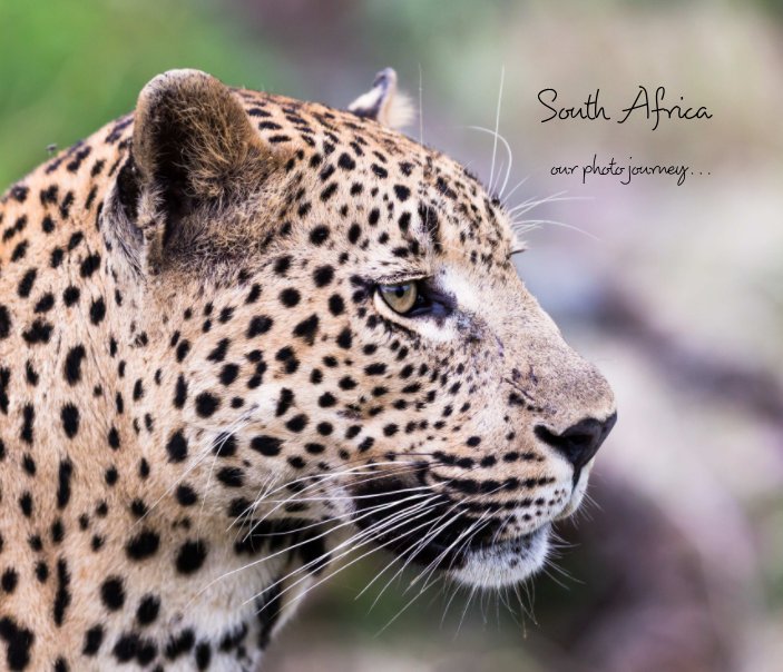 View South Africa by Julia Martin