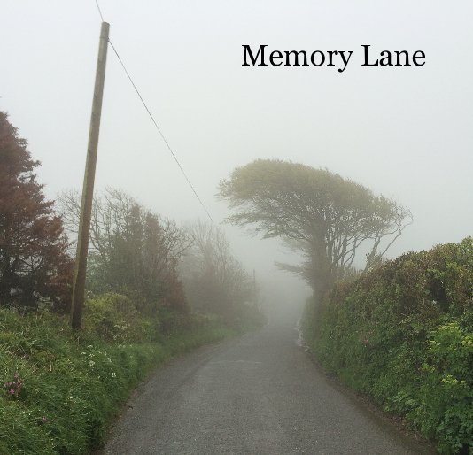 View Memory Lane by Simon Barber