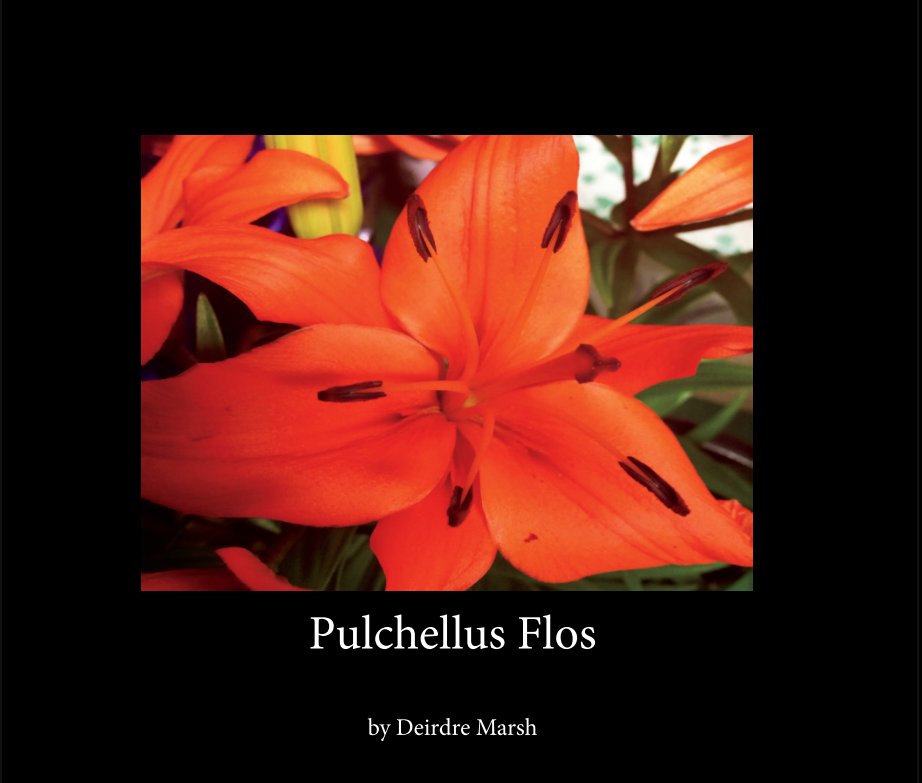 View Pulchellus Flos by Deirdre Marsh