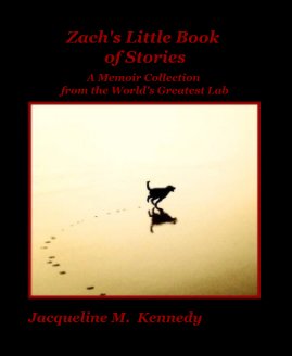 Zach's Little Book of Stories book cover