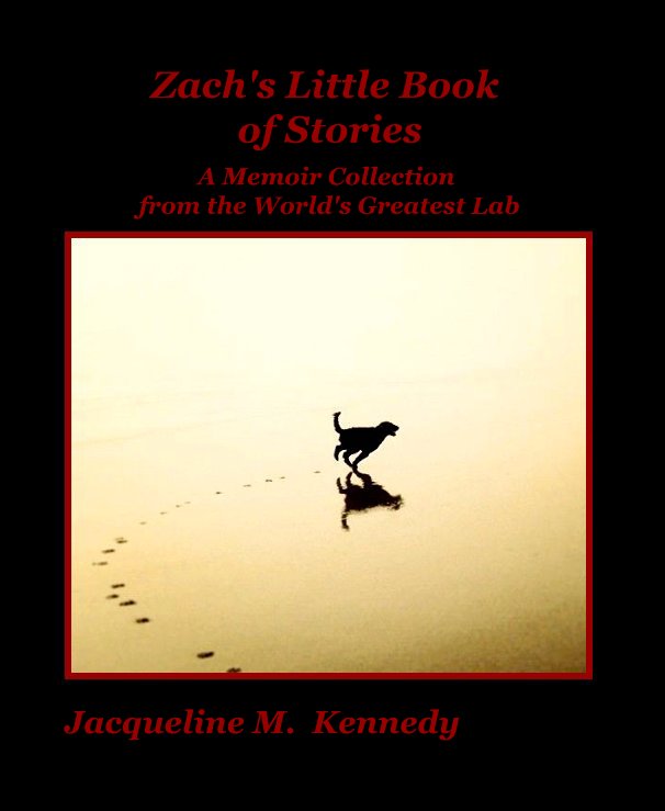 View Zach's Little Book of Stories by Jacqueline M. Kennedy
