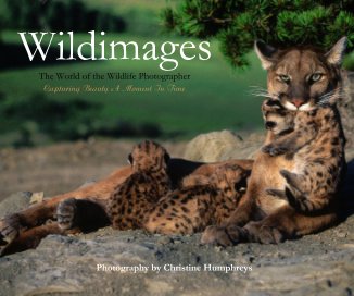 Wildimages The World of the Wildlife Photographer Capturing Beauty A Moment In Time Photography by Christine Humphreys book cover
