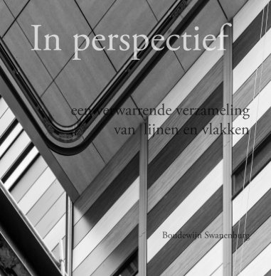 In perspectief book cover