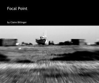 Focal Point book cover