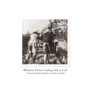 Biltmore Farms-A Look Back book cover