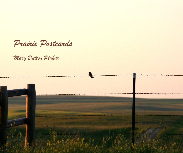 View Prairie Postcards by Mary Dutton Pluhar