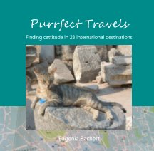 Purrfect Travels book cover