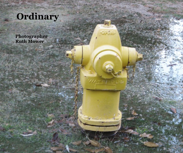 View Ordinary by Photographer Ruth Mower