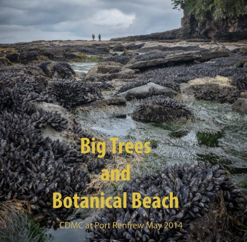 Ver Big Trees and Botanical Beach por Chris Carter