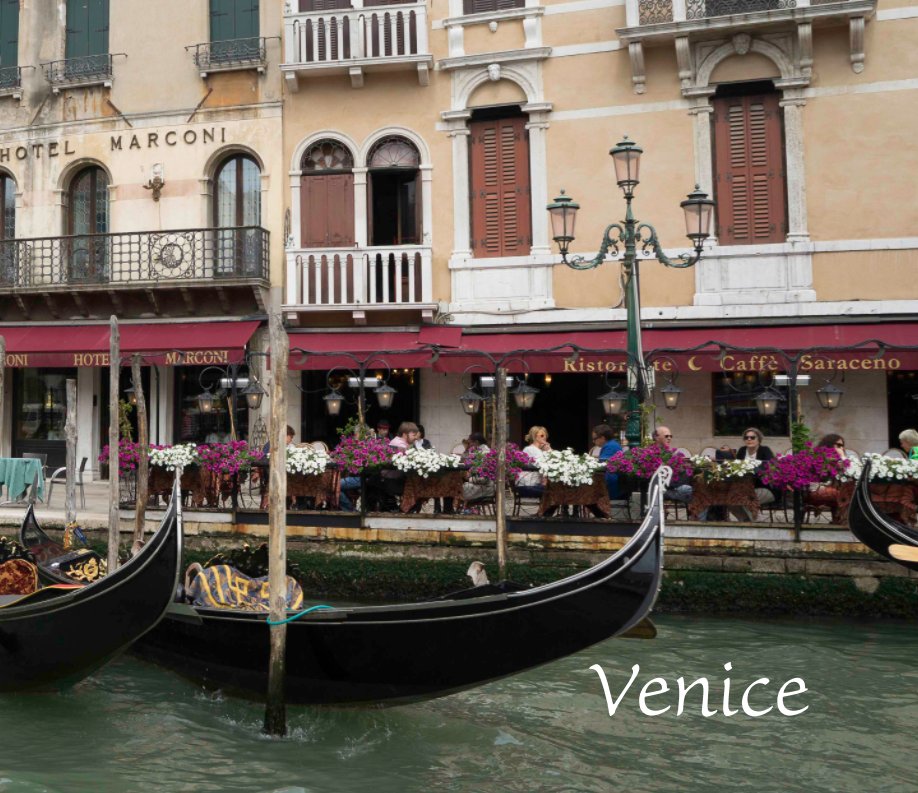 View Venice by Steve Ingram