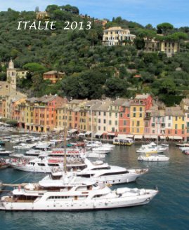 ITALIE 2013 book cover