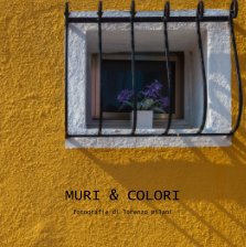 Muri & colori book cover