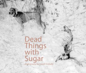 Dead Things With Sugar book cover