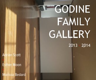 GODINE FAMILY GALLERY book cover