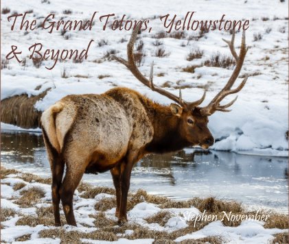 The Grand Tetons, Yellowstone & Beyond book cover