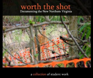 Worth the Shot book cover