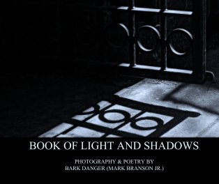 BOOK OF LIGHT AND SHADOWS book cover
