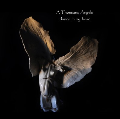 A Thousand Angels dance in my head book cover