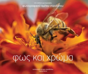 Strovolos Photography Club 2013/14 book cover