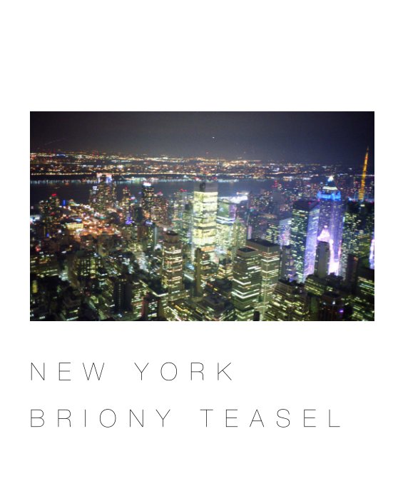 View New York by Briony Teasel
