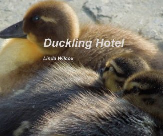 Duckling Hotel Linda Wilcox book cover